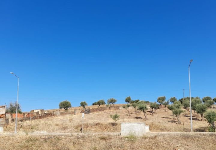 Terra a Alandroal, Evora, Alandroal - € 35.000 | Ref: ALT004/018/2024 - foto 1
