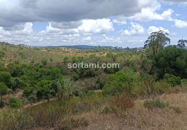 Helårsgrund i Silves, Faro, Silves - € 22.500 | Ref: Sort22246 - foto 1