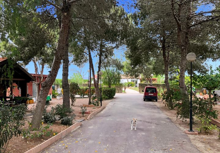 Landejendom i Dolores, Alicante, Dolores - € 525.000 | Ref: F94/3390 - foto 1