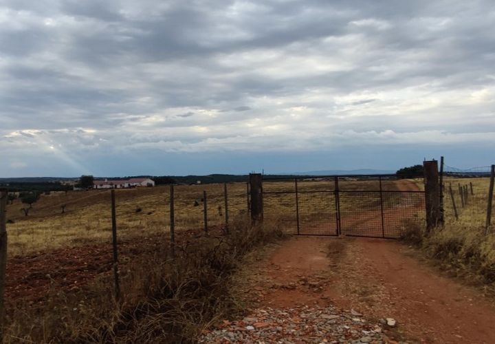 Farm i Redondo, Evora, Redondo - € 600.000 | Ref: JG2327 - foto 1