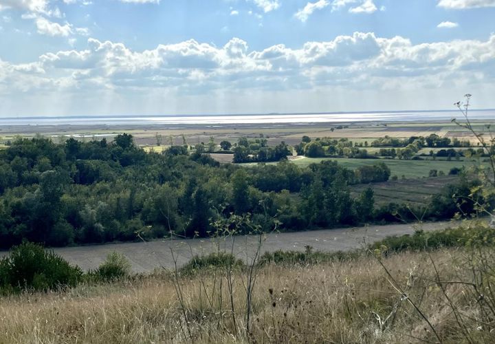 Terra a Floirac, Charente-Maritime, Floirac - € 14.500 | Ref: LF3819 - foto 1