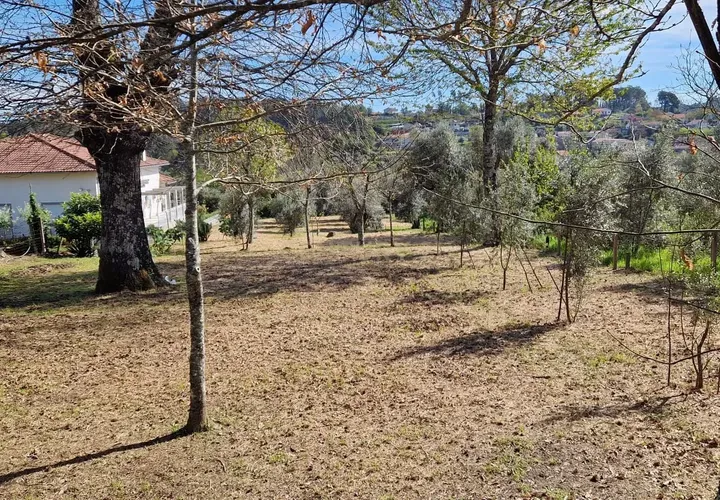 Helårsgrund i Viseu, Viseu, Viseu - € 49.500 | Ref: C0203-02285 - foto 1