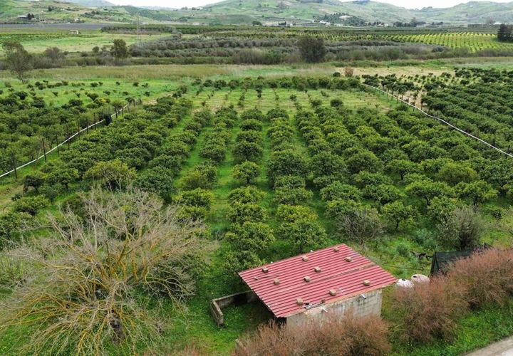 Helårsgrund i Ribera, Agrigento, Ribera - € 80.000 | Ref: T/213 - foto 1