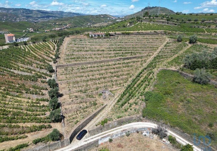 Byhus i Peso da Regua, Vila Real, Peso da Regua - € 445.000 | Ref: 101962 - foto 1