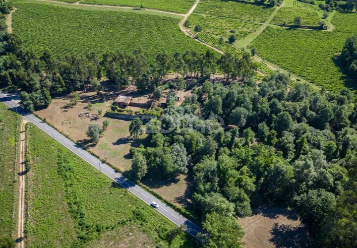 Farm i Vila Verde, Braga, Vila Verde - € 445.000 | Ref: ZMPT569472 - foto 1