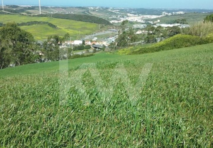 Helårsgrund i Torres Vedras, Lisbon, Torres Vedras - € 40.000 | Ref: 1196-9009 - foto 1