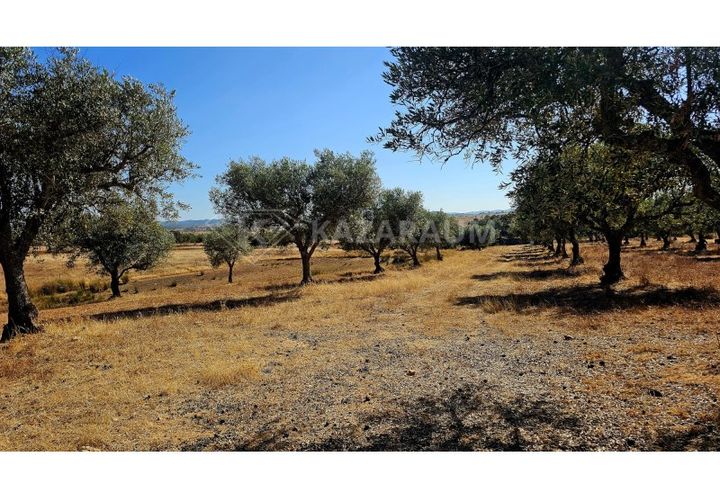 Helårsgrund i Garvao, Beja, Garvao - € 290.000 | Ref: K-286 - foto 1
