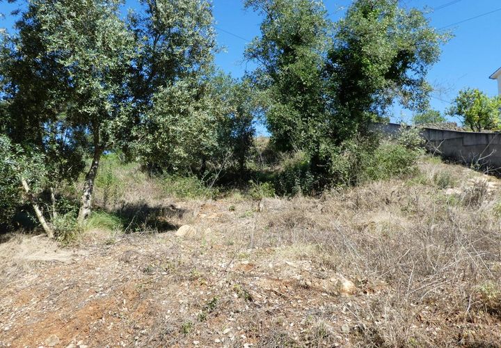 Helårsgrund i Coimbra, Coimbra, Coimbra - € 335.000 | Ref: CC3426 - foto 1