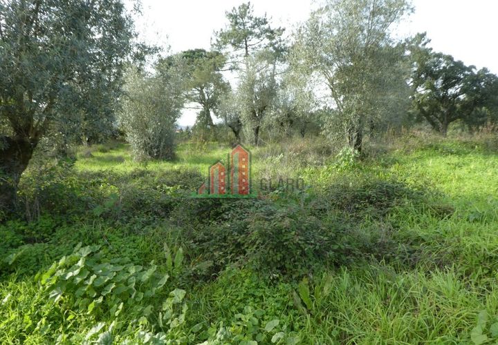 Helårsgrund i Coimbra, Coimbra, Coimbra - € 60.000 | Ref: JG3776 - foto 1