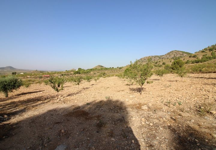 Terra a Ricote, Murcia, Ricote - € 52.000 | Ref: 2333 - foto 1