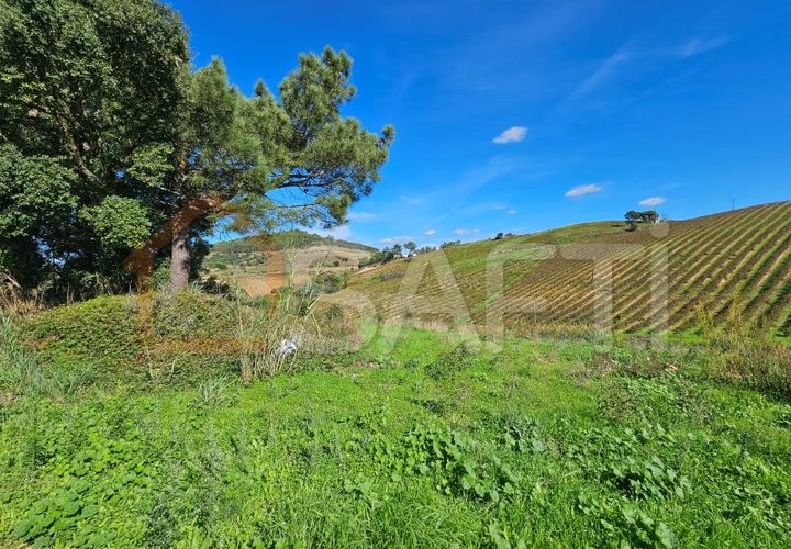 Helårsgrund i Mafra, Lisbon, Mafra - € 233.000 | Ref: SAFTI:005887 - foto 1