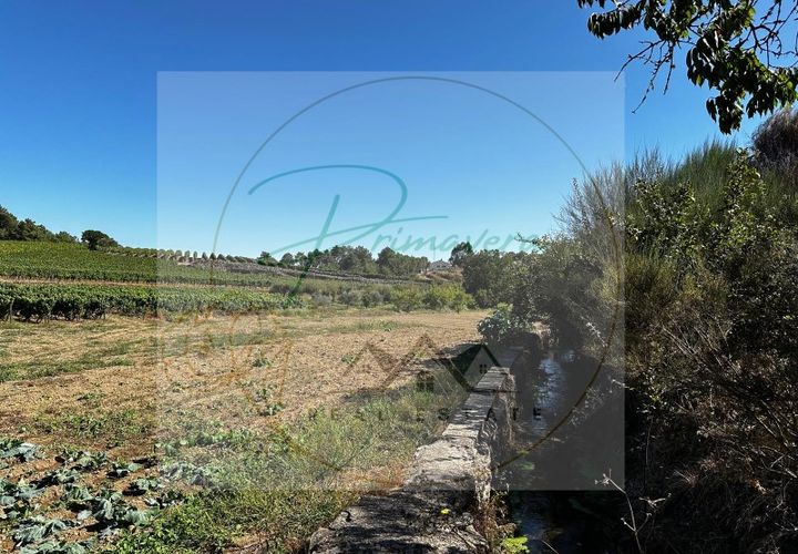 Landejendom i Sabrosa, Vila Real, Sabrosa - € 700.000 | Ref: CAS_51 - foto 1