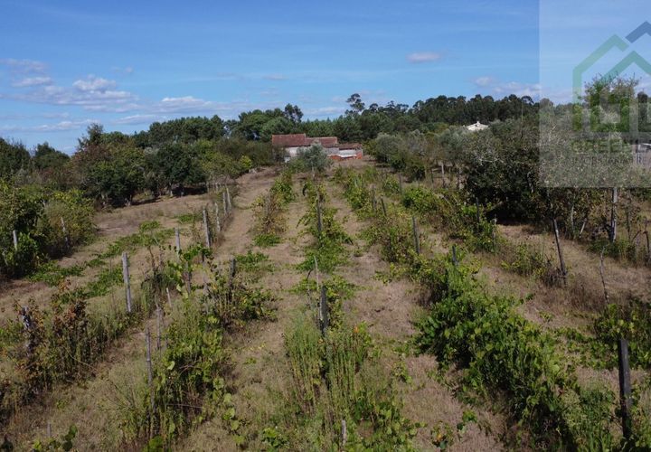 Villa i Tabua, Coimbra, Tabua - € 130.000 | Ref: 615 - foto 1