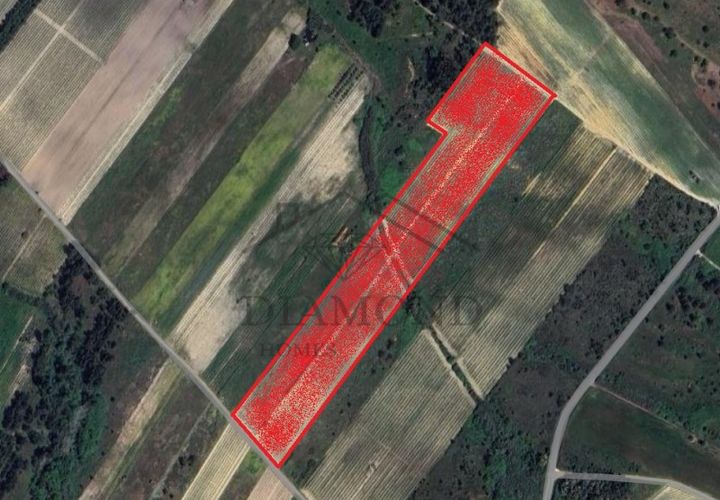 Helårsgrund i Alpiarca, Santarem, Alpiarca - € 150.000 | Ref: DHTR-0008/24 - foto 1