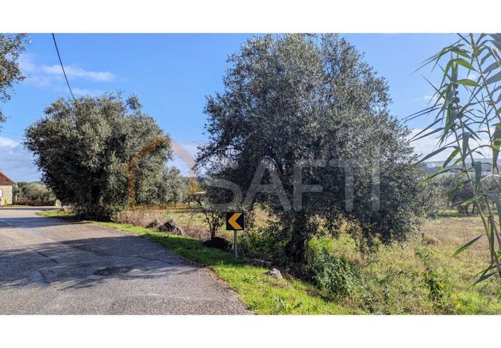 Helårsgrund i Pombal, Leiria, Pombal - € 270.000 | Ref: SAFTI:005897 - foto 1