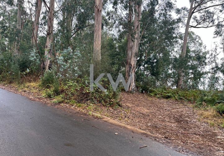 Helårsgrund i Ponta do Sol, Madeira, Ponta do Sol - € 30.000 | Ref: KWPT-005907 - foto 1