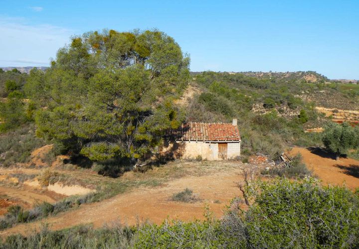 Finca i Maella, Zaragoza, Maella - € 15.000 | Ref: 1037 - foto 1