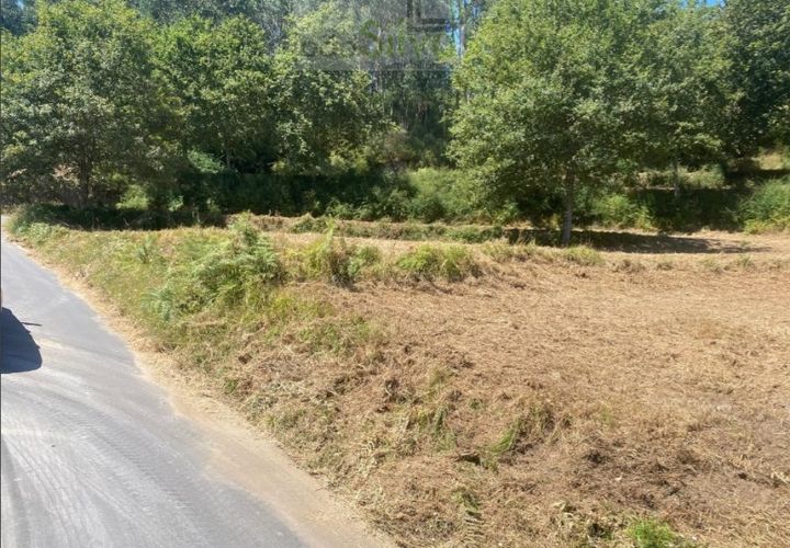 Terra a Gondufe, Viana do Castelo, Gondufe - € 50.000 | Ref: TER_1835 - foto 1