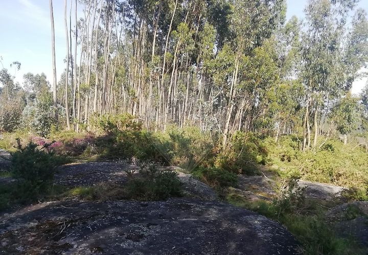 Helårsgrund i Guimaraes, Braga, Guimaraes - € 35.000 | Ref: 121751324-198 - foto 1