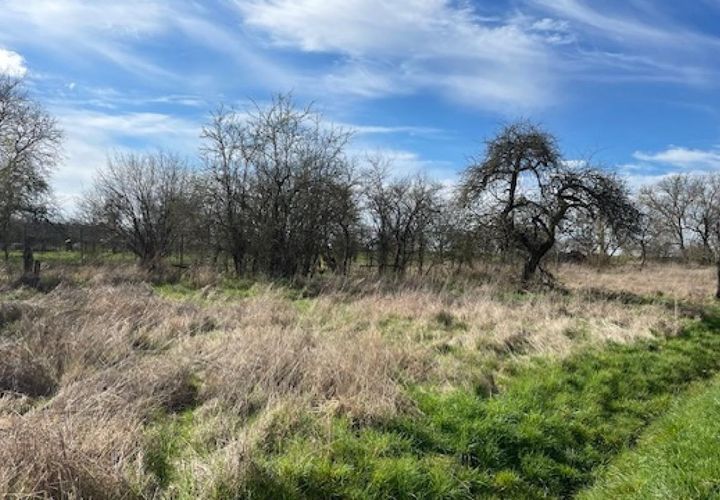 Terra a Arracourt, Meurthe-et-Moselle, Arracourt - € 40.000 | Ref: V666 - foto 1