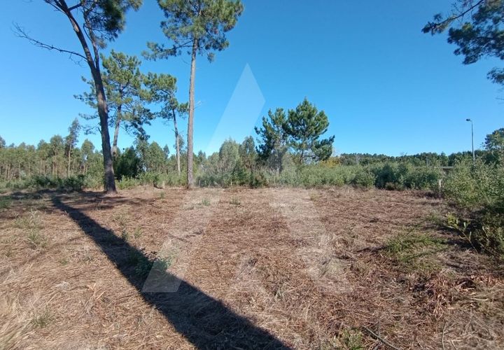 Helårsgrund i Ilhavo, Aveiro, Ilhavo - € 57.000 | Ref: 1012110/24 GL - foto 1
