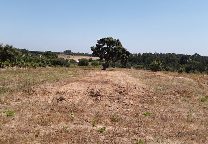 Terra a Pontevel, Santarem, Pontevel - € 60.000 | Ref: CA-61 - foto 1