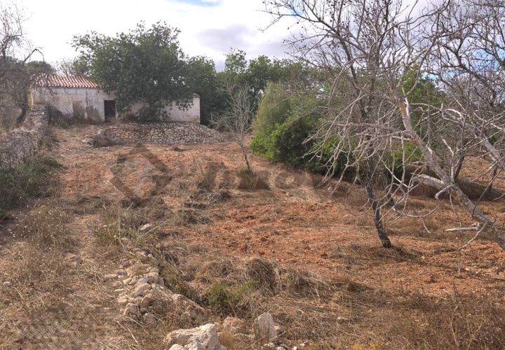 Farm i Paderne, Faro, Paderne - € 220.000 | Ref: FIN_70 - foto 1