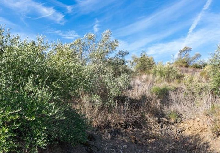 Tomt i Torrox, Malaga, Torrox - € 48 000 | Ref: P225 - foto 1