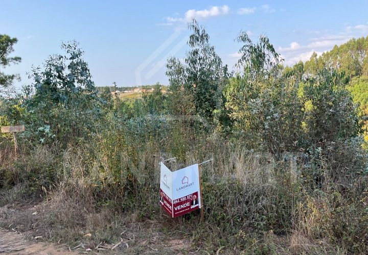 Terra a Turquel, Leiria, Turquel - € 6.000 | Ref: TR1557 - foto 1
