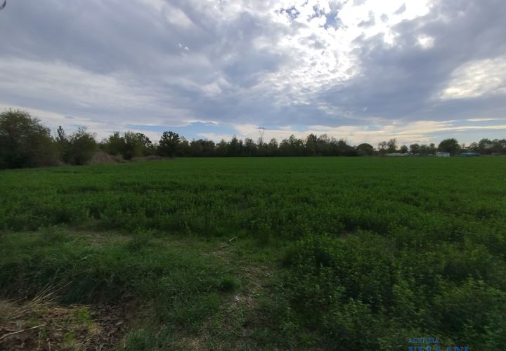 Helårsgrund i Carpi, Modena, Carpi - € 42.202 | Ref: OTB-912 - foto 1