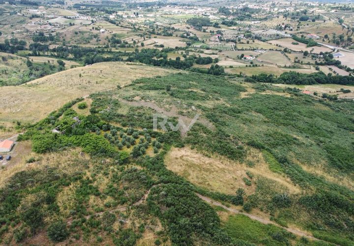 Terra a Linhares, Braganca, Linhares - € 200.000 | Ref: RW011 - foto 1