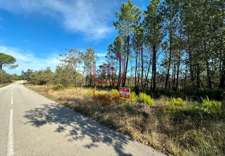 Helårsgrund i Ourem, Santarem, Ourem - € 6.000 | Ref: 1293 - foto 1