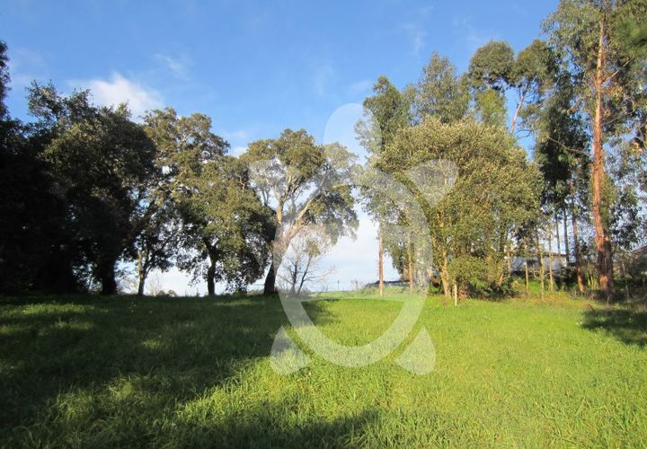 Terra a Vila Verde, Coimbra, Vila Verde - € 15.900 | Ref: ff0934 - foto 1