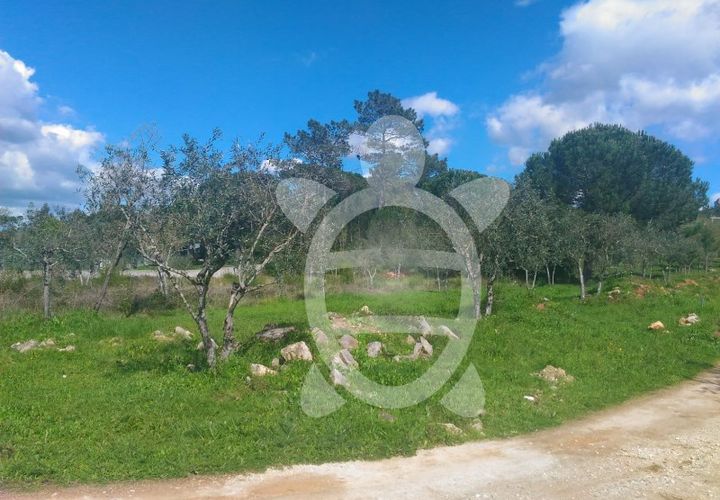 Terra a Cernache, Coimbra, Cernache - € 80.000 | Ref: cbr0291 - foto 1