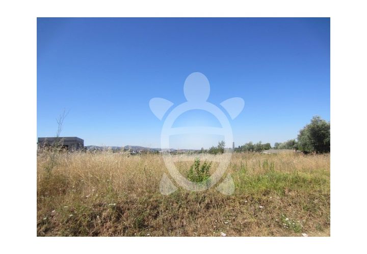 Terra a Cernache, Coimbra, Cernache - € 37.000 | Ref: cbr0541 - foto 1