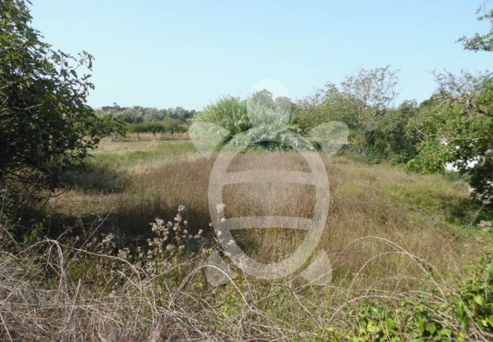 Tomt i Cernache, Coimbra, Cernache - € 24 500 | Ref: cbr1113 - foto 1