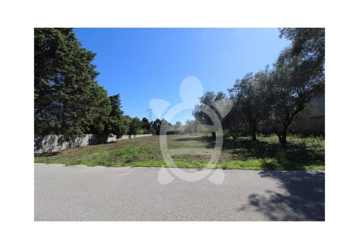 Helårsgrund i Cantanhede, Coimbra, Cantanhede - € 35.000 | Ref: cbr3084 - foto 1