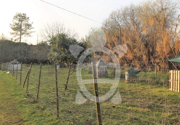 Terra a Cernache, Coimbra, Cernache - € 32.500 | Ref: SÒL_27730 - foto 1