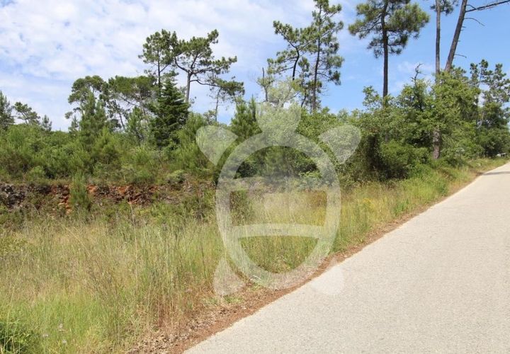 Terra a Condeixa-a-Nova, Coimbra, Condeixa-a-Nova - € 62.500 | Ref: cdx0658 - foto 1