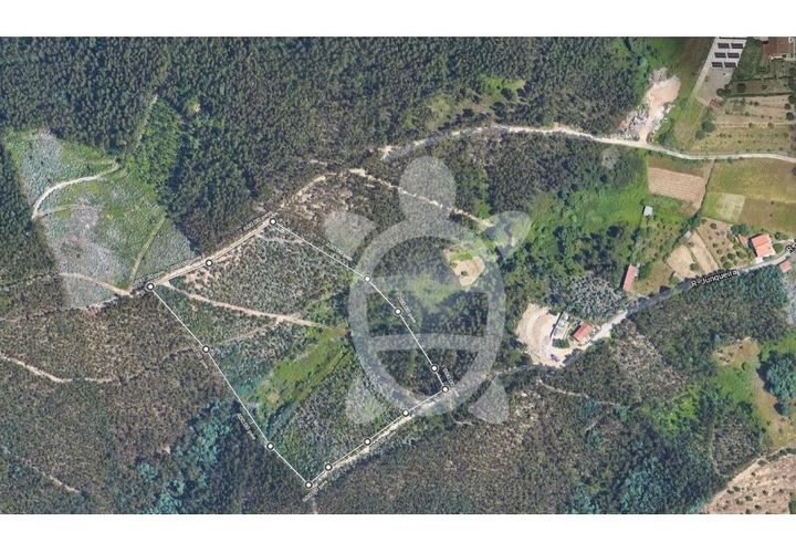 Helårsgrund i Coimbra, Coimbra, Coimbra - € 35.000 | Ref: cbr2771 - foto 1