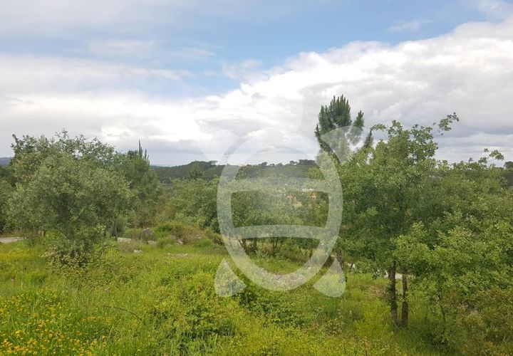 Terra a Condeixa-a-Nova, Coimbra, Condeixa-a-Nova - € 35.000 | Ref: cdx0640 - foto 1