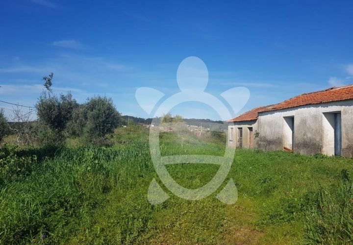 Terra a Condeixa-a-Nova, Coimbra, Condeixa-a-Nova - € 52.000 | Ref: cdx0609 - foto 1