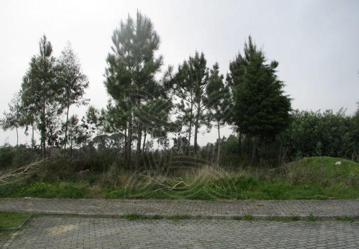 Tomt i Cernache, Coimbra, Cernache - € 67 500 | Ref: cbr2669 - foto 1