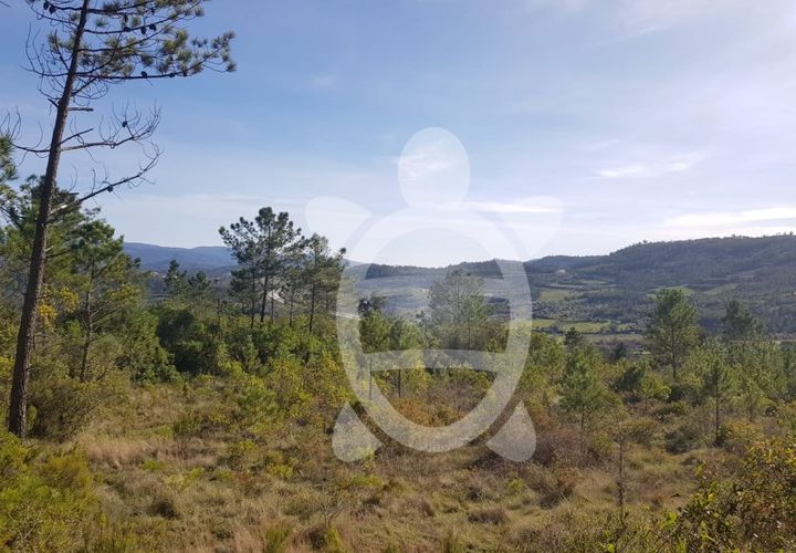 Helårsgrund i Coimbra, Coimbra, Coimbra - € 12.500 | Ref: cdx0600 - foto 1