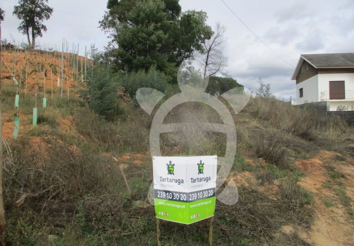 Helårsgrund i Condeixa-a-Nova, Coimbra, Condeixa-a-Nova - € 45.000 | Ref: cdx0481 - foto 1