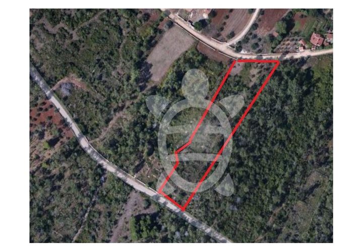 Terra a Cernache, Coimbra, Cernache - € 56.500 | Ref: cbr2409 - foto 1