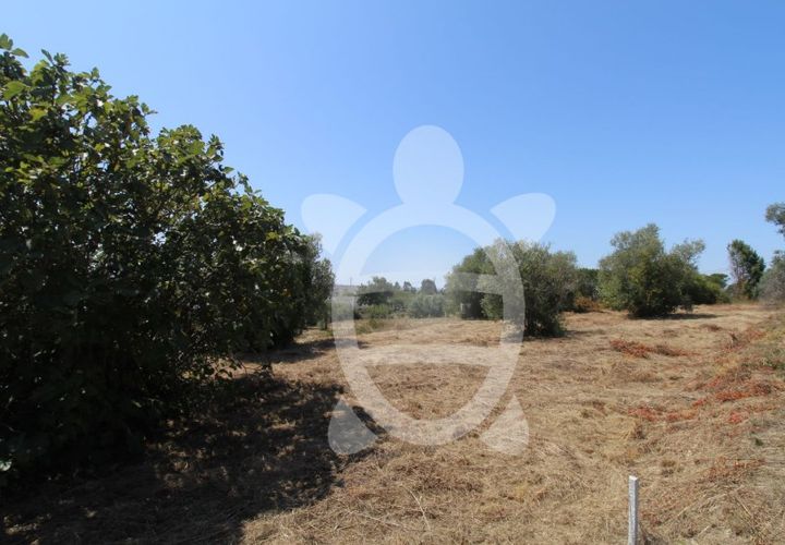 Terra a Vila Verde, Coimbra, Vila Verde - € 24.900 | Ref: ff0844 - foto 1