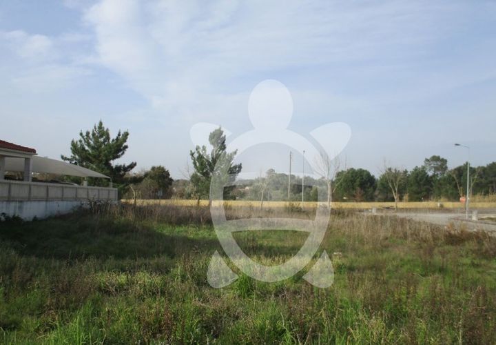 Terra a Condeixa-a-Nova, Coimbra, Condeixa-a-Nova - € 85.000 | Ref: cdx0297 - foto 1