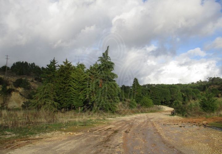 Terra a Cernache, Coimbra, Cernache - € 199.500 | Ref: cbr0226 - foto 1