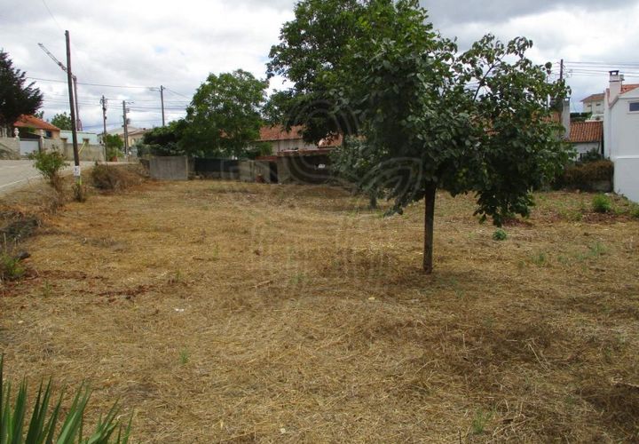 Helårsgrund i Cernache, Coimbra, Cernache - € 50.000 | Ref: cbr1528 - foto 1